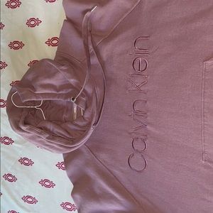 Calvin Klein Blush Hoodie